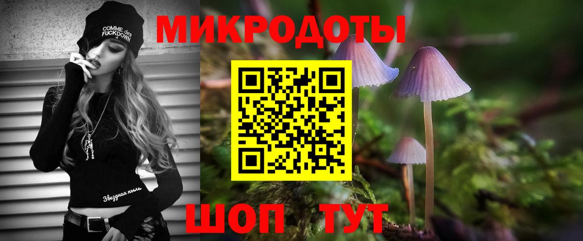 Псилоцибиновые грибы Psilocybe  что такое   Шатура  Вход с VPN 